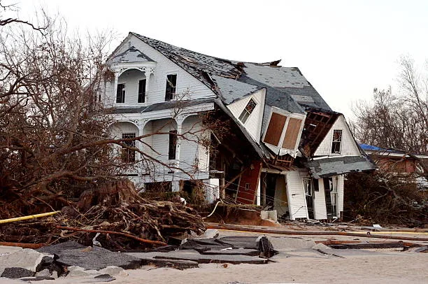 emergency tree service west new york